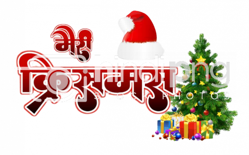 Merry Christmas Wishes PNG with Hindi Text