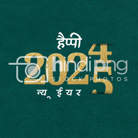 Happy New Year 2025 Wishes in Hindi - Beautiful New Year 2025 PNG Image