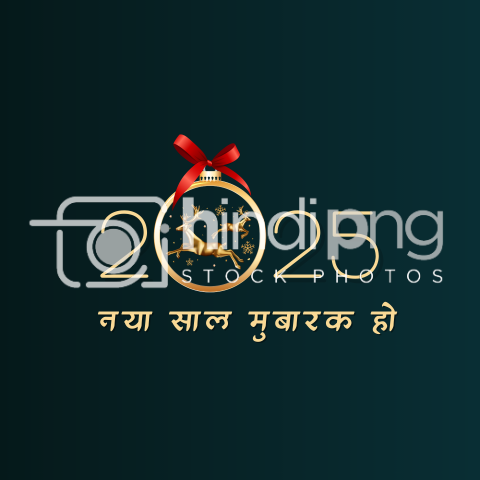 Happy New Year 2025 Wishes in Hindi - Creative New Year 2025 PNG Design