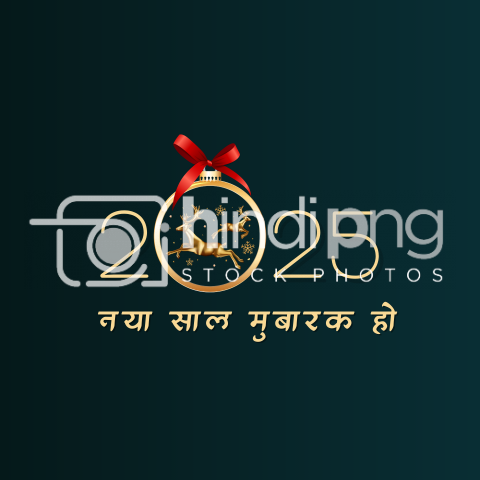 Happy New Year 2025 Wishes in Hindi - Creative New Year 2025 PNG Design