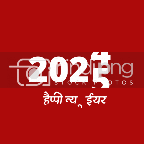 Happy New Year 2025 Wishes in Hindi - Unique New Year 2025 PNG Artwork