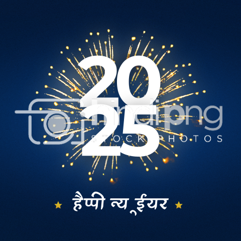 Happy New Year 2025 Wishes in Hindi - Festive Hindi PNG for New Year 2025