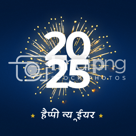 Happy New Year 2025 Wishes in Hindi - Festive Hindi PNG for New Year 2025