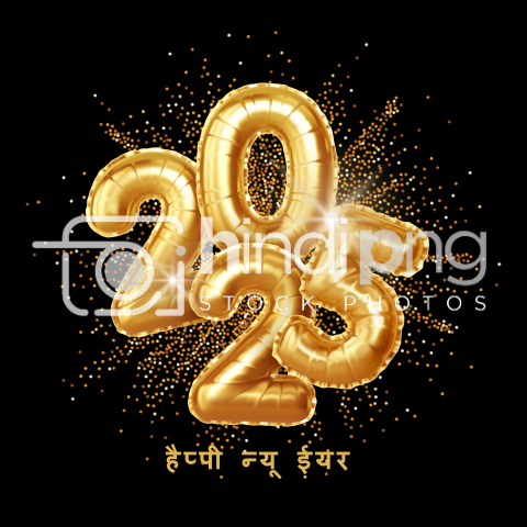 Happy New Year 2025 Wishes in Hindi - Captivating Hindi New Year 2025 PNG