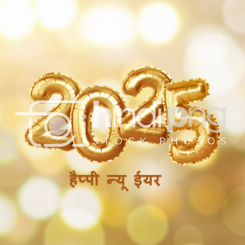 Happy New Year 2025 Wishes in Hindi - Unique New Year 2025 Hindi PNG