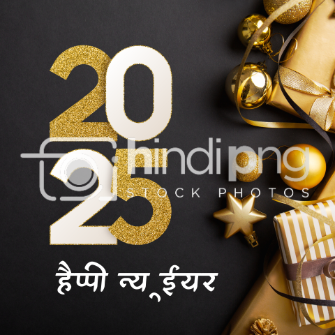 Happy New Year 2025 Wishes in Hindi - Festive Hindi PNG for New Year 2025